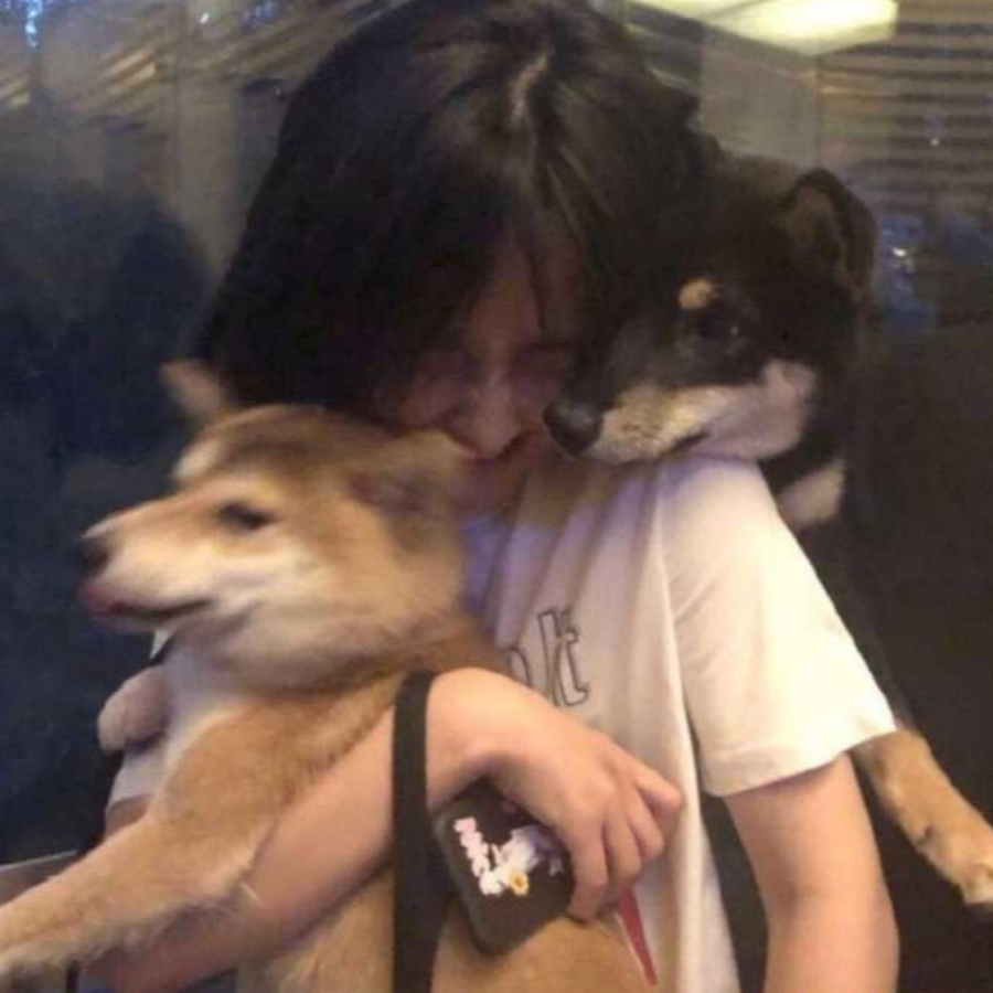鱼素