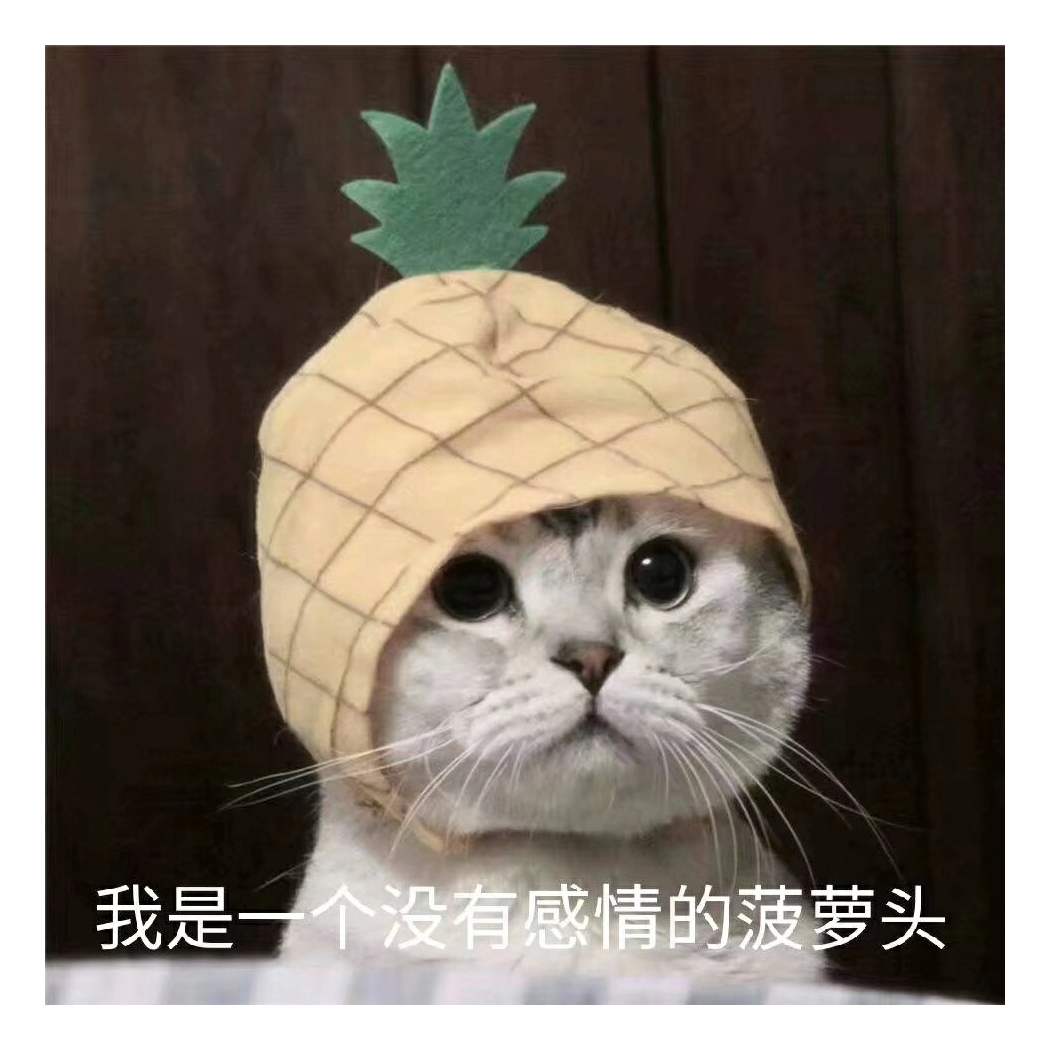 鑫辉
