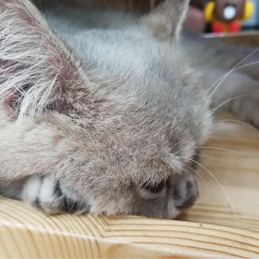 钥匙是一个药师