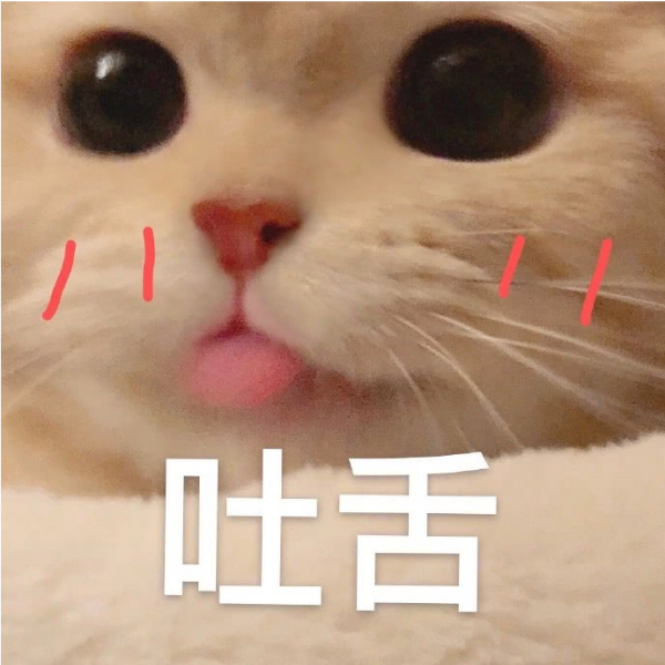 齊