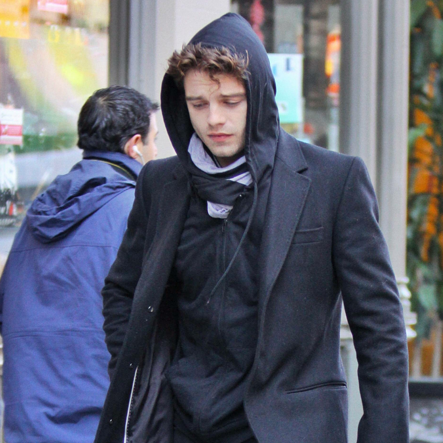 抱蜜罐的罗马尼亚小熊