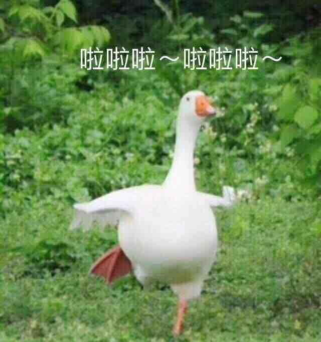手机用户23333843