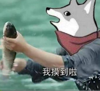 摸鱼达人