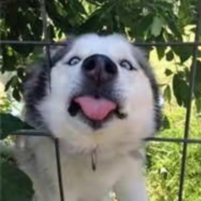 张辉。