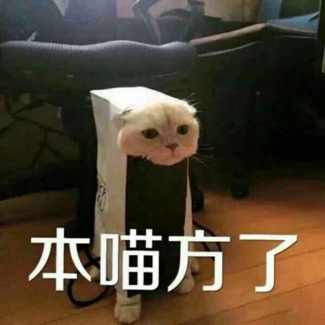 白泽