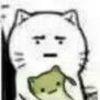皮？...orz