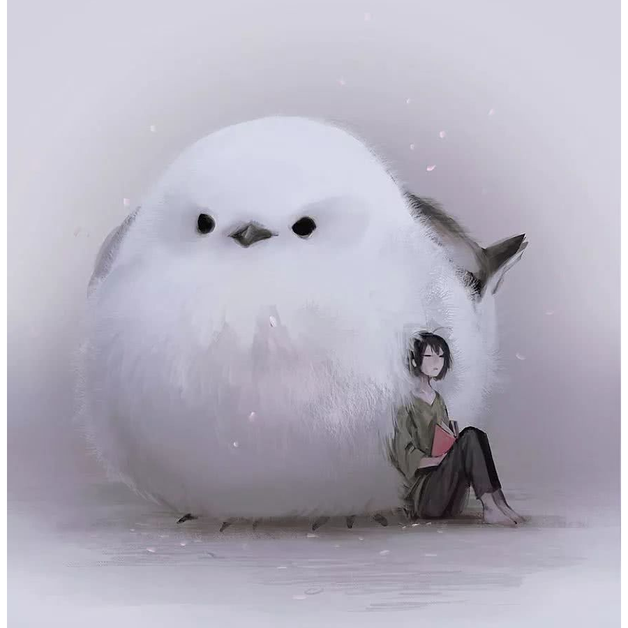 无雩