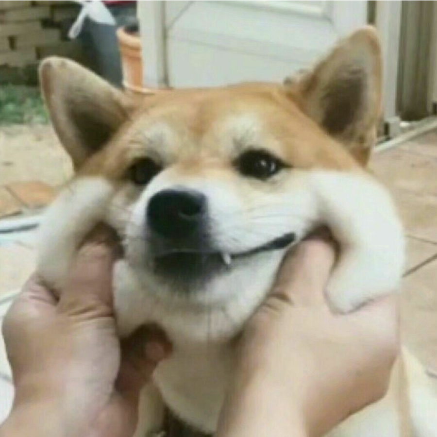星路