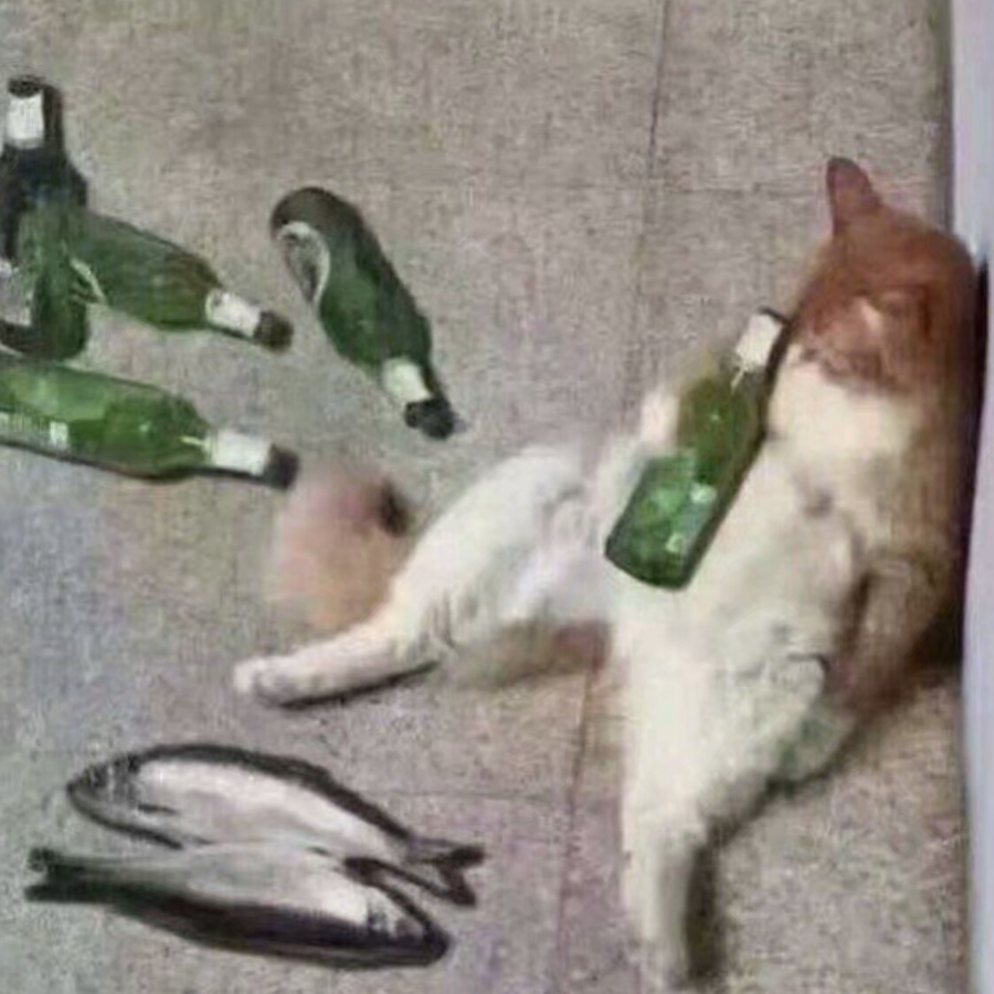 咸鱼over