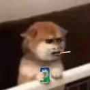 两个西瓜