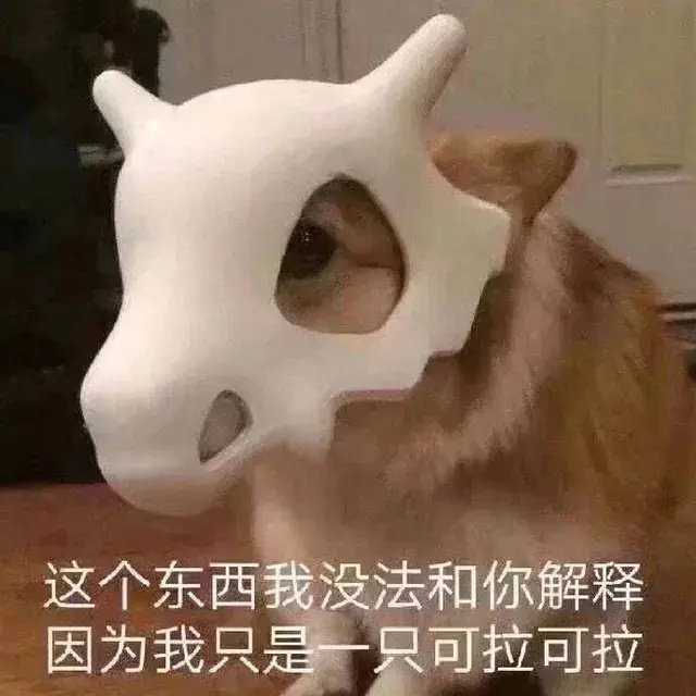 啊伟啊