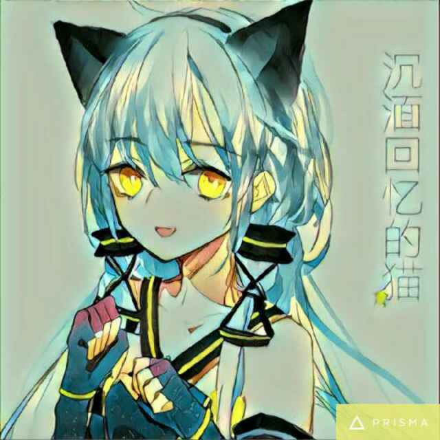 沉湎回忆的猫