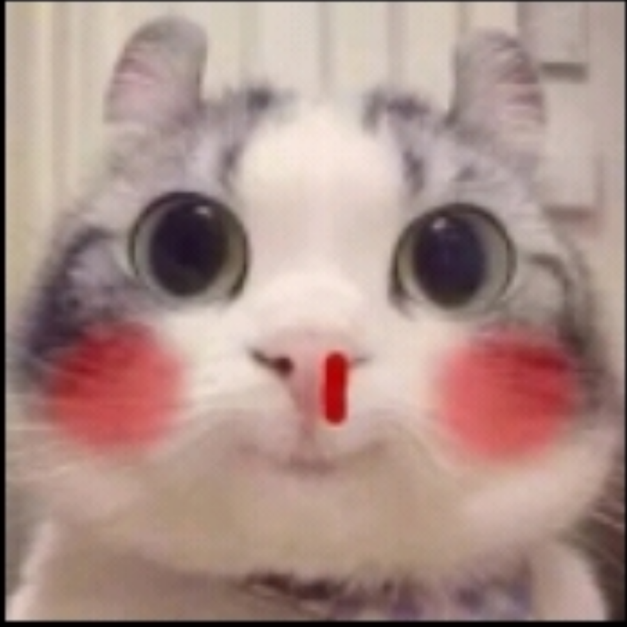 技术肝帝