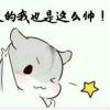 qq真无聊了