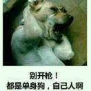 在上不是南北