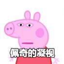 喂狗的青春