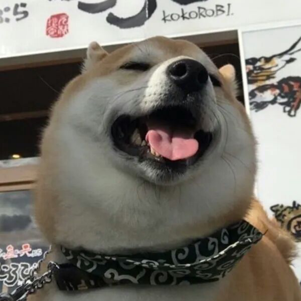 不知道