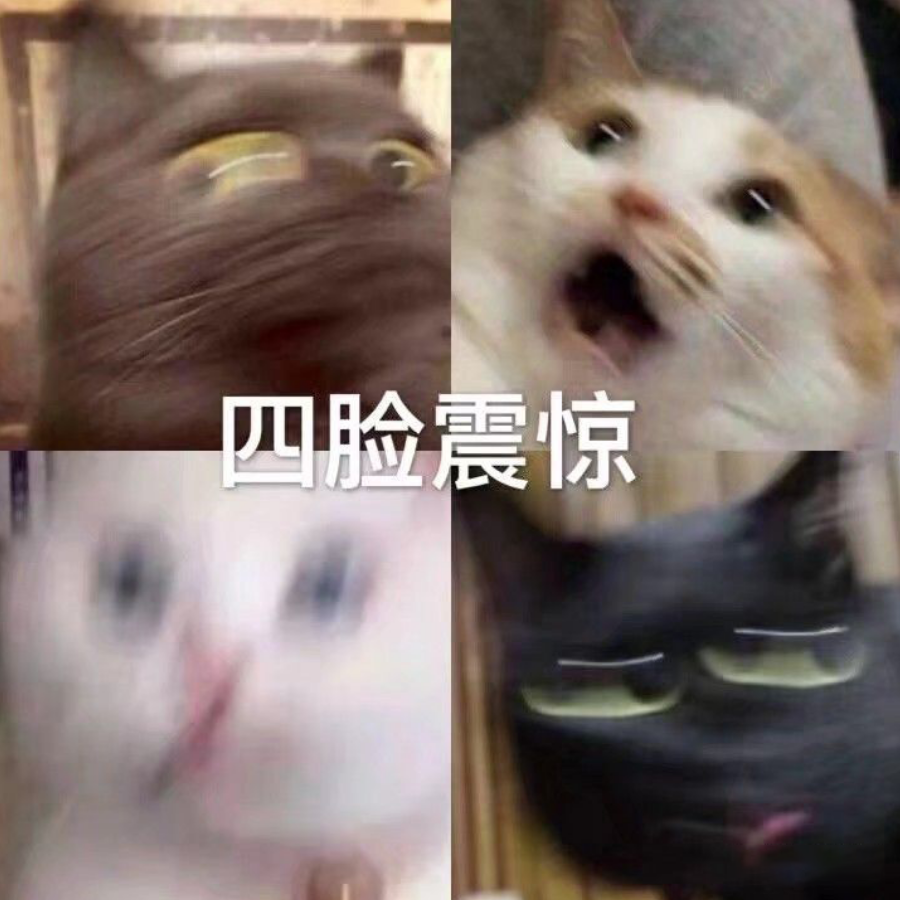 纸伦