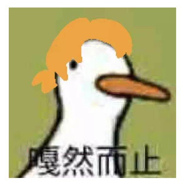仰望星空派