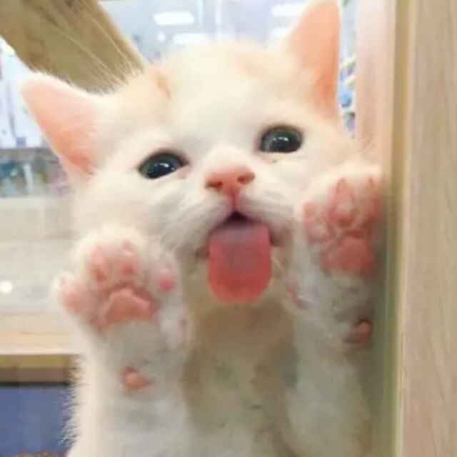 宁静