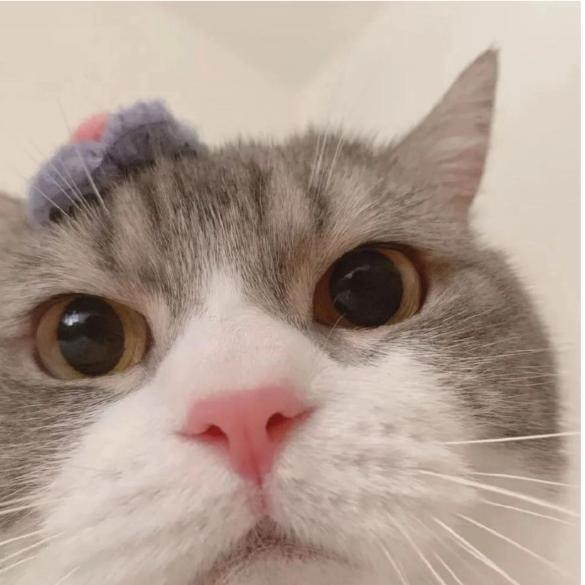 恐龙