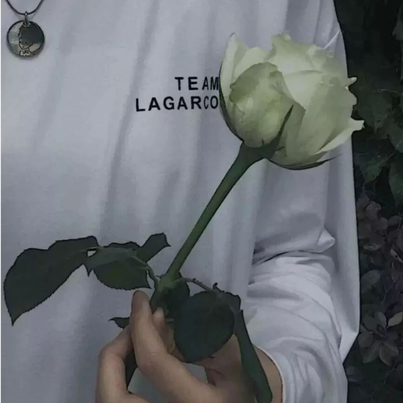 蜡笔小鑫眼子