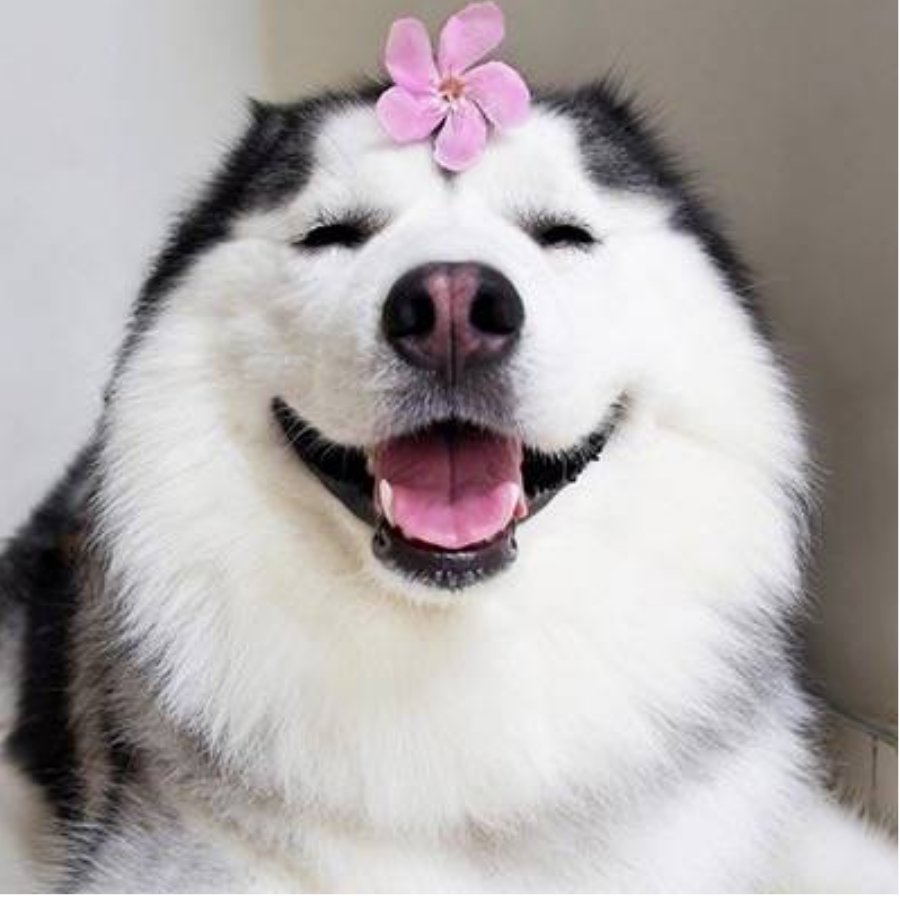 明卿