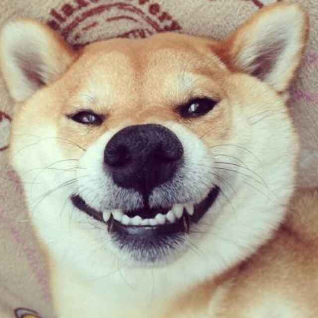 行走在黑夜里的白瑞德