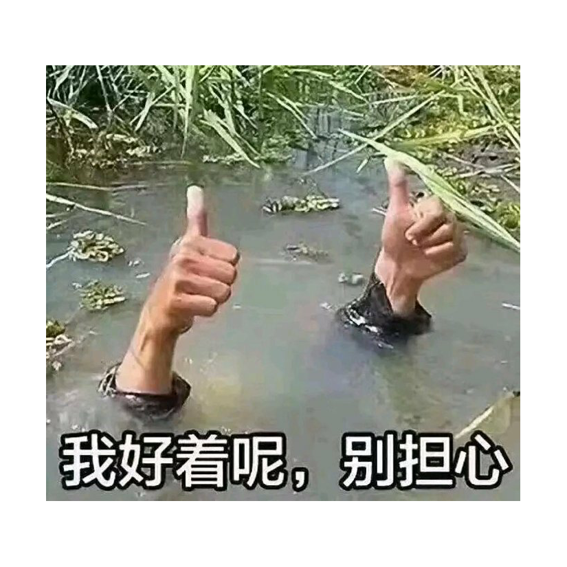 止一