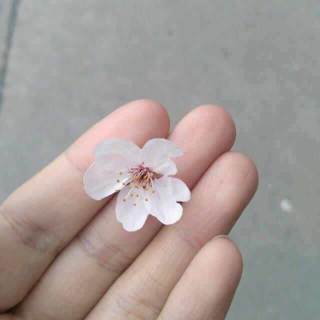你是谁呢