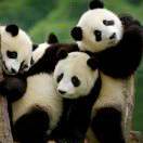 一起游戏，一起嗨！