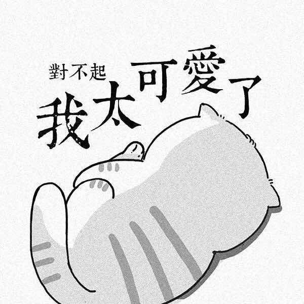 九五二七