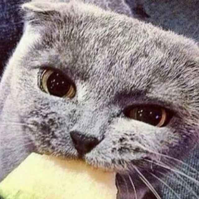 过把痴情瘾.