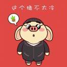 诸葛来了也照烧