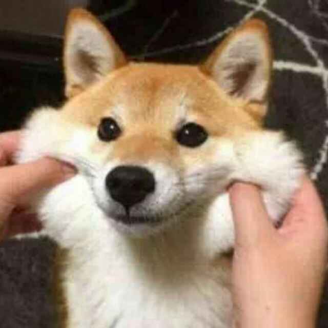 灬奘じòぴé丿贰蜑孒