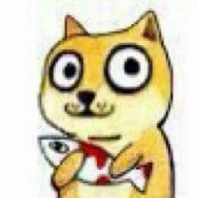 LP