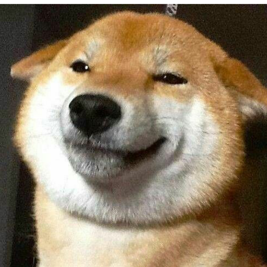 元放