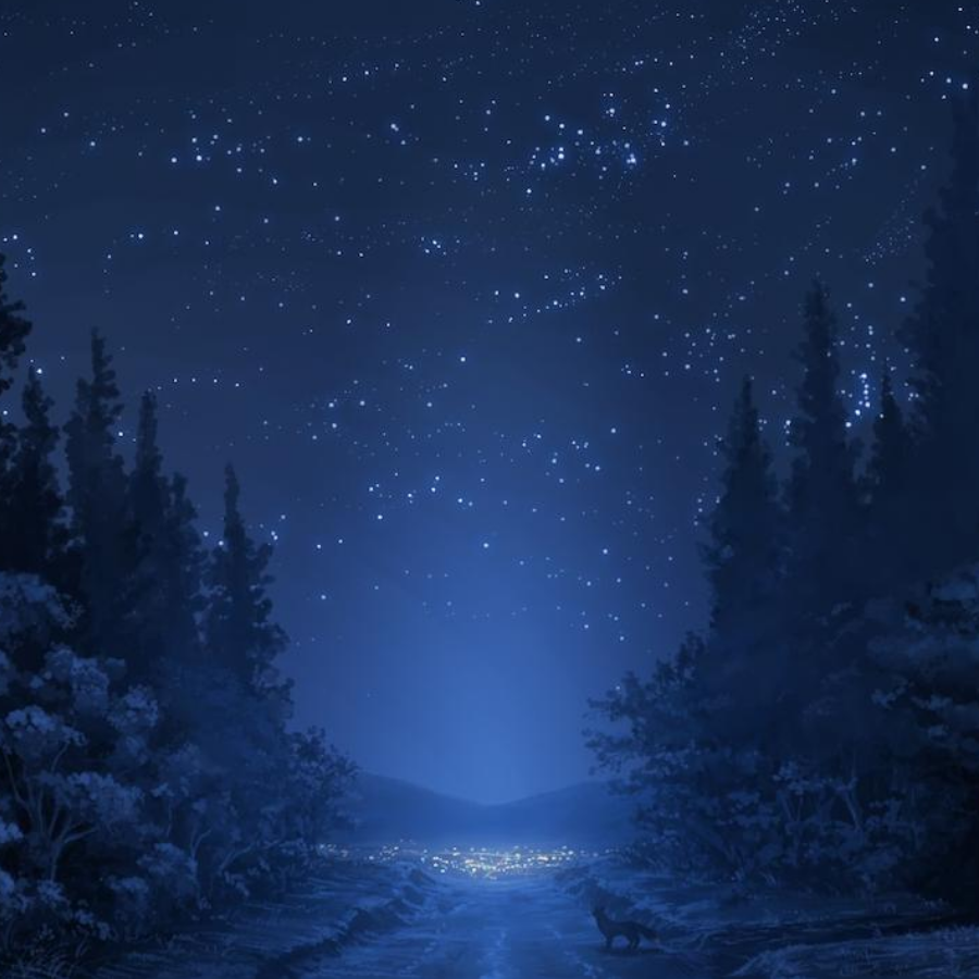 night