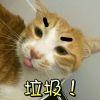 三字二十五画