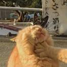 낯선사람