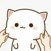 User27185121