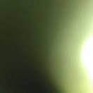 楚楚
