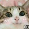 暮增寒