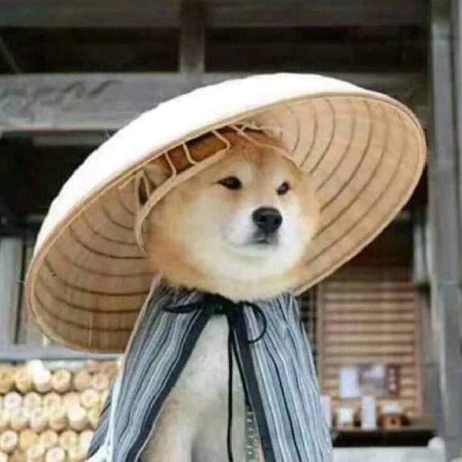 呆@