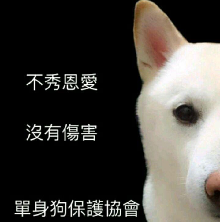 張祐綸
