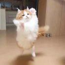 我