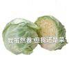 踹翻友谊的小船