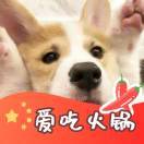洛书