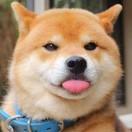 淳·简·拉基·茨德