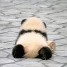 源